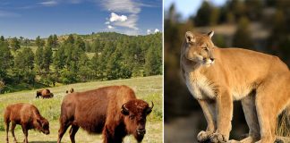 5 Wisata Liar Khas Amerika yang Wajib Dikunjungi