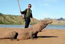 Tahun ini, Jumlah Pengunjung Taman Nasional Komodo akan Dibatasi