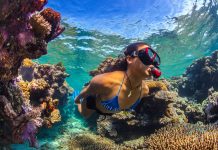 Sayembara Pulihkan Great Barrier Reef Berhadiah Rp 21,3 Miliar