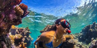 Sayembara Pulihkan Great Barrier Reef Berhadiah Rp 21,3 Miliar