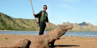 Tahun ini, Jumlah Pengunjung Taman Nasional Komodo akan Dibatasi