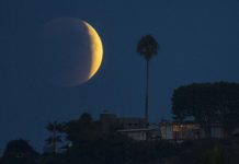 Akan Ada 4 Jenis Gerhana Nanti Malam, Apa Saja Sih?