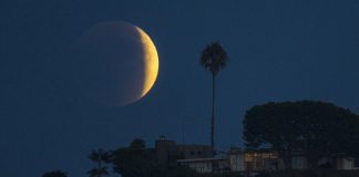 Akan Ada 4 Jenis Gerhana Nanti Malam, Apa Saja Sih?