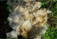 Waduh! Bongkahan Batu Limbah WC Disangka Batu Alien