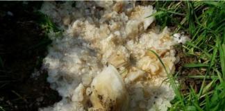 Waduh! Bongkahan Batu Limbah WC Disangka Batu Alien