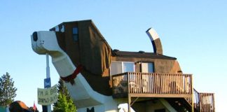 Sensasi Menginap di Hotel Bertema Binatang