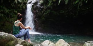 Mau Awet Muda? Jejaki Air Terjun Pangeran di Gunung Halimun Mau Awet Muda? Jejaki Air Terjun Pangeran di Gunung Halimun