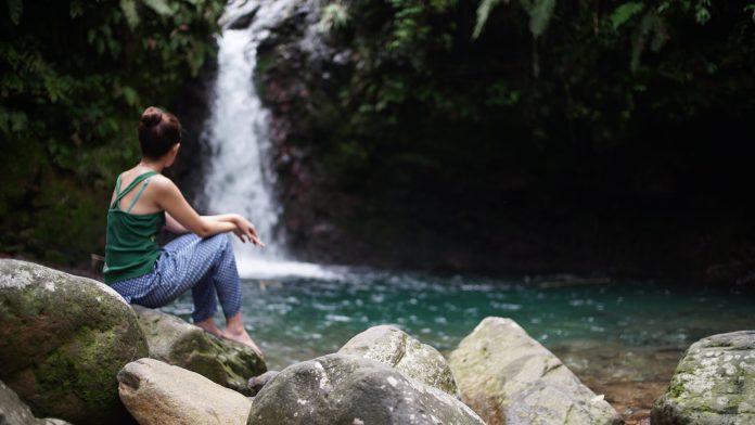 Mau Awet Muda? Jejaki Air Terjun Pangeran di Gunung Halimun