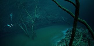 Cenote Angelita, Ilusi Aliran Sungai di Dalam Laut