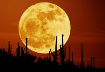 Waktu Terbaik Menyaksikan Supermoon 31 Januari 2018 Waktu Terbaik Menyaksikan Supermoon 31 Januari 2018