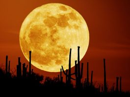 Waktu Terbaik Menyaksikan Supermoon 31 Januari 2018 Waktu Terbaik Menyaksikan Supermoon 31 Januari 2018