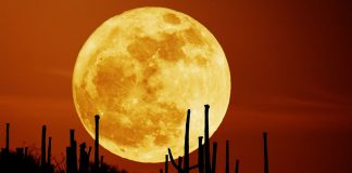 Waktu Terbaik Menyaksikan Supermoon 31 Januari 2018 Waktu Terbaik Menyaksikan Supermoon 31 Januari 2018