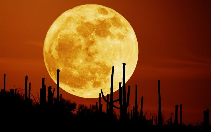 Waktu Terbaik Menyaksikan Supermoon 31 Januari 2018