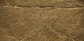 Waduh! Sopir Truk Tabrak Situs UNESCO Nazca Lines Berusia 2.000 tahun