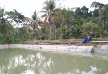 Yuk! Dapatkan Paket Ekstra Memancing di Wisata Rancagoong