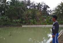 Rancagoong Potensi Destinasi Wisata Edukasi Perikanan Ciamis