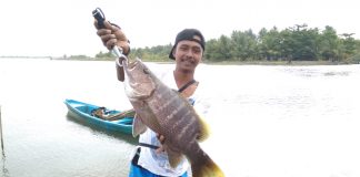 Black Bass Berat 3,5 Kg Kembali Ditemukan di Perairan Sungai Pangandaran
