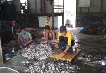 Kampung Ular Kertasura, Manfaatkan Hama Ular Jadi Produk Fesyen Unik