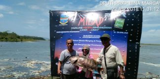 Black Bass Sang Predator Ditemukan Lemas di Perairan Pangandaran