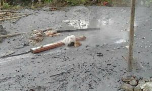 mirip lumpur lapindo di tasikmalaya mirip lumpur lapindo di tasikmalaya